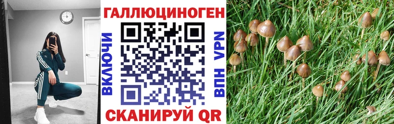 Галлюциногенные грибы Magic Shrooms  закладка  Саки 